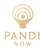 Pandi Now Logo